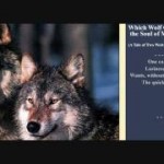 Wolves