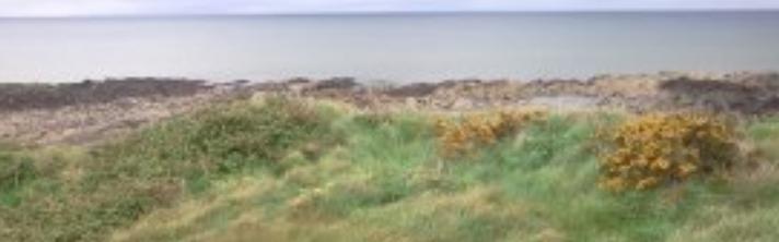 Remains of a barrow at Braemor, site of a car park for the new Chinese Port at Drogheda