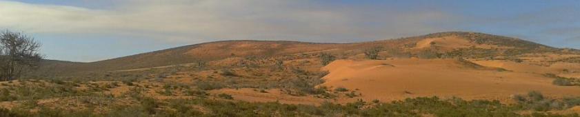 Berber sands of the Pre Sahara