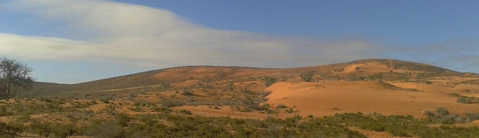 Pre desert near the Atlas mountains in Sous-Massa in Morocco