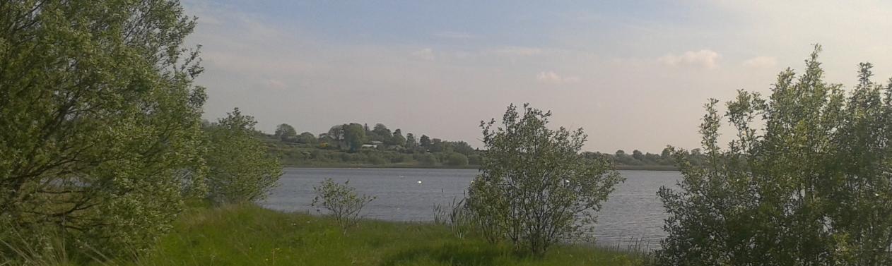 Lough Sallagh in Longford. (c) Tomás Ó Cárthaigh 2013