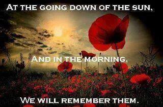 Poppy - We remember the fallen