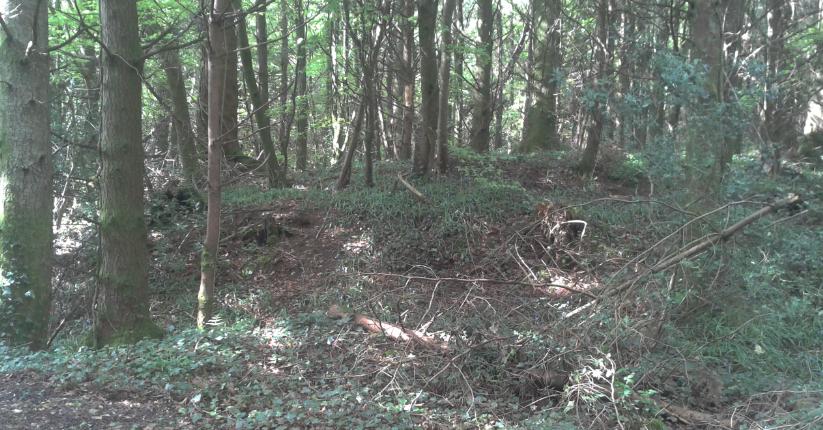 The Fairy Fort in Derrycassin Wood in Longford