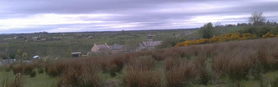 1798 Thinking is what we need to return to, the tragic rebellion finished on these fields over the bogs of north Longford in and around the village of Ballinamuck