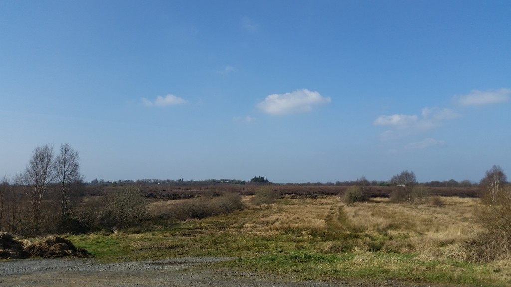 Bog at Edenmore, Ballinamuck, Co. Longford - many rebels of the 1798 Rebellion perished here while more used the cover to escape.