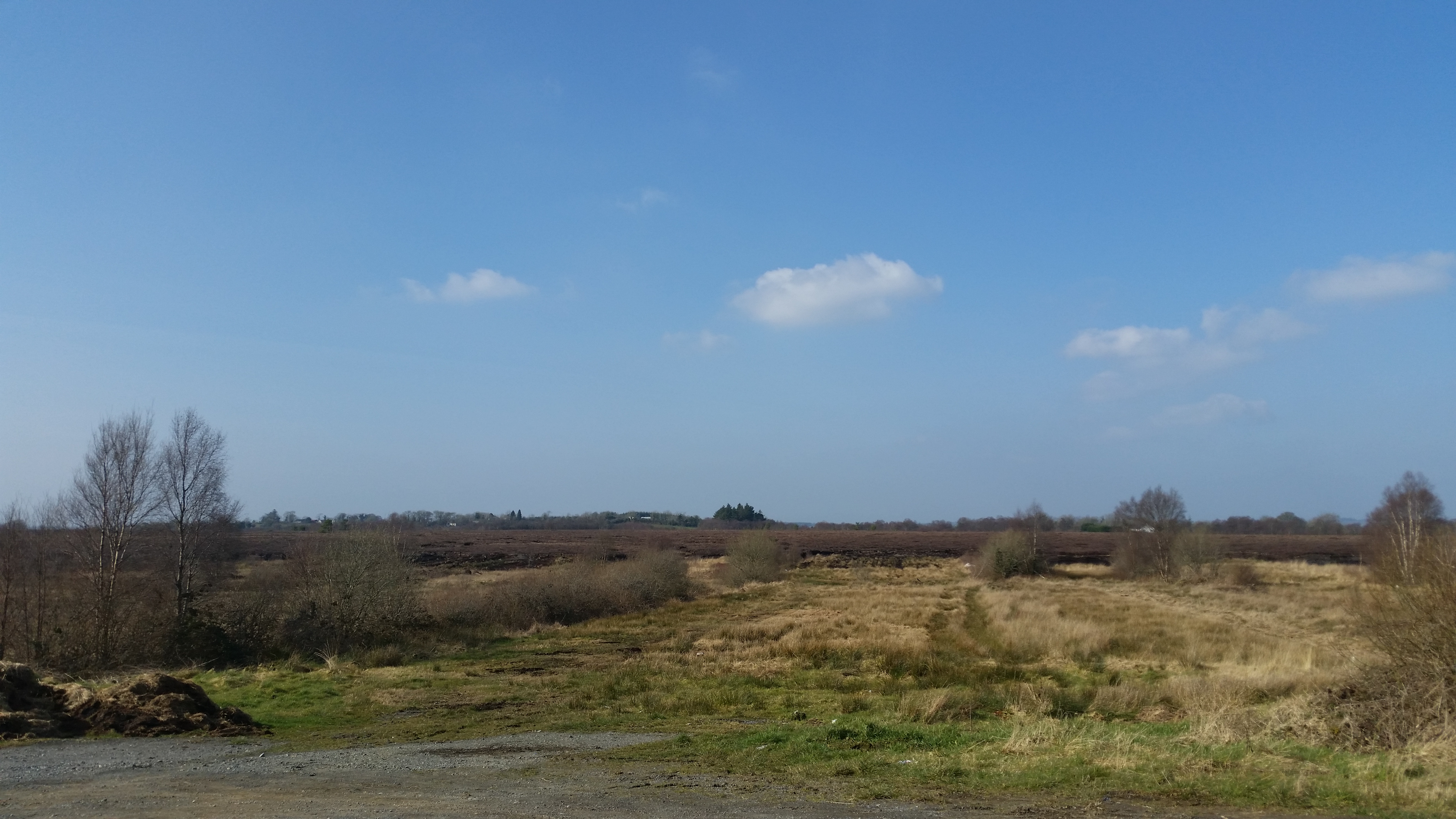  Bog at Edenmore, Ballinamuck, Co. Longford - many rebels of the 1798 Rebellion perished here while more used the cover to escape.