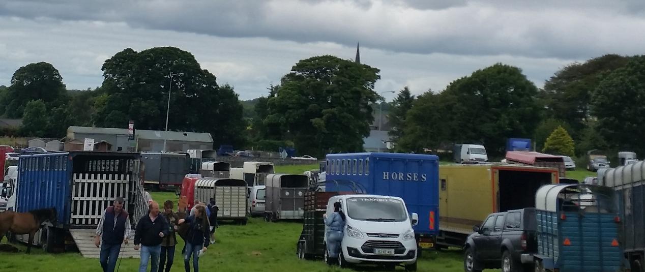 Looking down on Aughrim Village from the Jacobite positions which was a carpark during the Aughrim Horse Fair