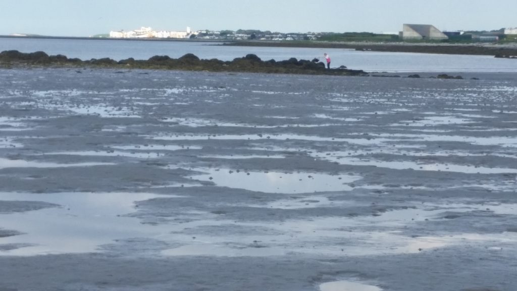 What the Pokemon hunter missed: the serene view to Salthill from Ballyloughnane Beach across Galway Bay. I hunt images like this with my camera phone in different lights and weathers... got to catch them all!!!