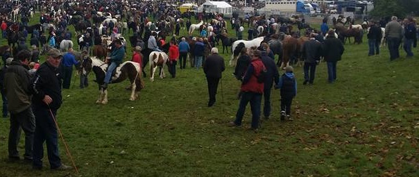 Horse Fair at Ballinasloe in 2015 - Garristown would have looked something like this