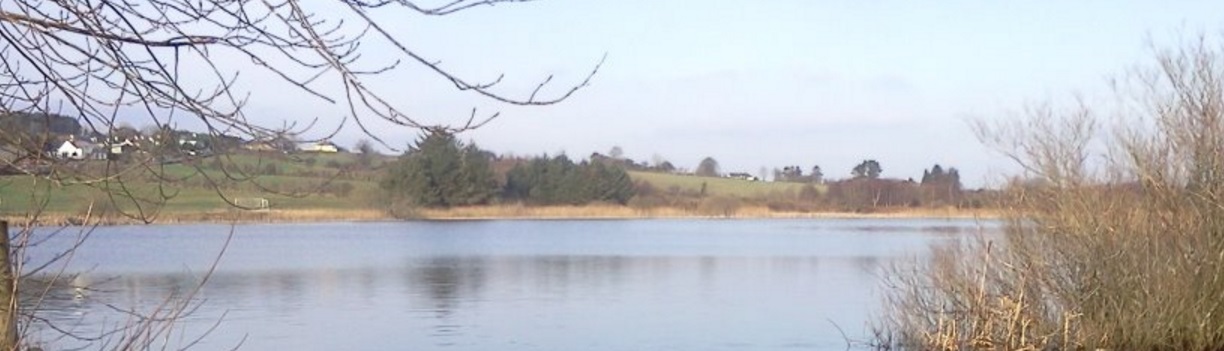 Lough Gowna which has a version of the Loch Ness Monster and a mermaid according to local folklore