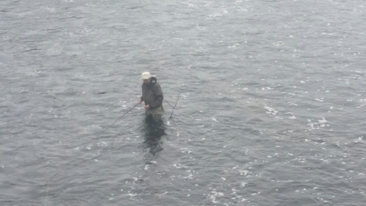 The Salmon Fisher - River Corrib in Galway