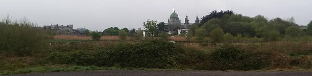 Galway Cathederal seen from across the Corrib River at Terryland Forest