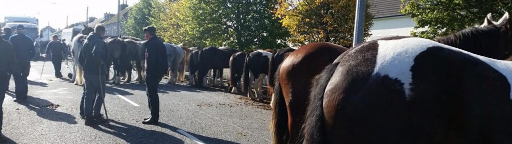 Early Hours at the 2017 Banagher Horse Fair with Babsers visible beside the trees