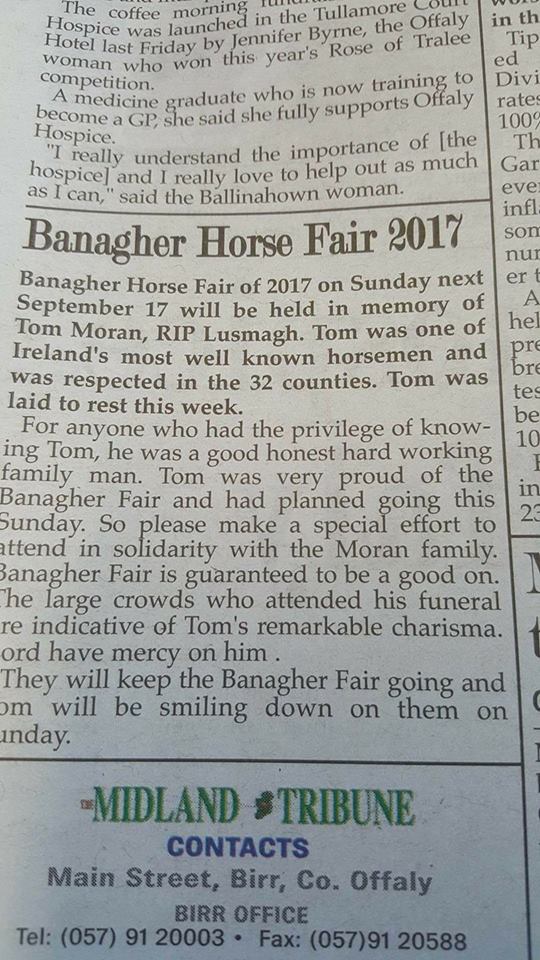 Midland Tribune article on the 2017 Banagher Horse Fair