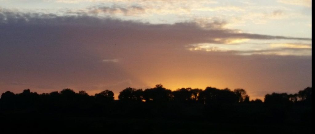 Sun behind the Trees - Legga in Longford, Ireland