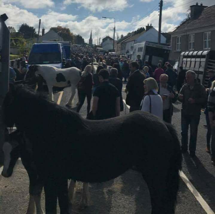 The 2017 Banagher Horse Fair - going from strenght to strenght - 2018 Fair is on September 16th