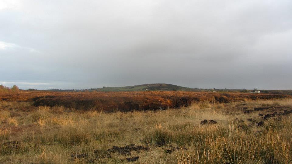 Edenmore Hill and the Edenmore Bog Walk